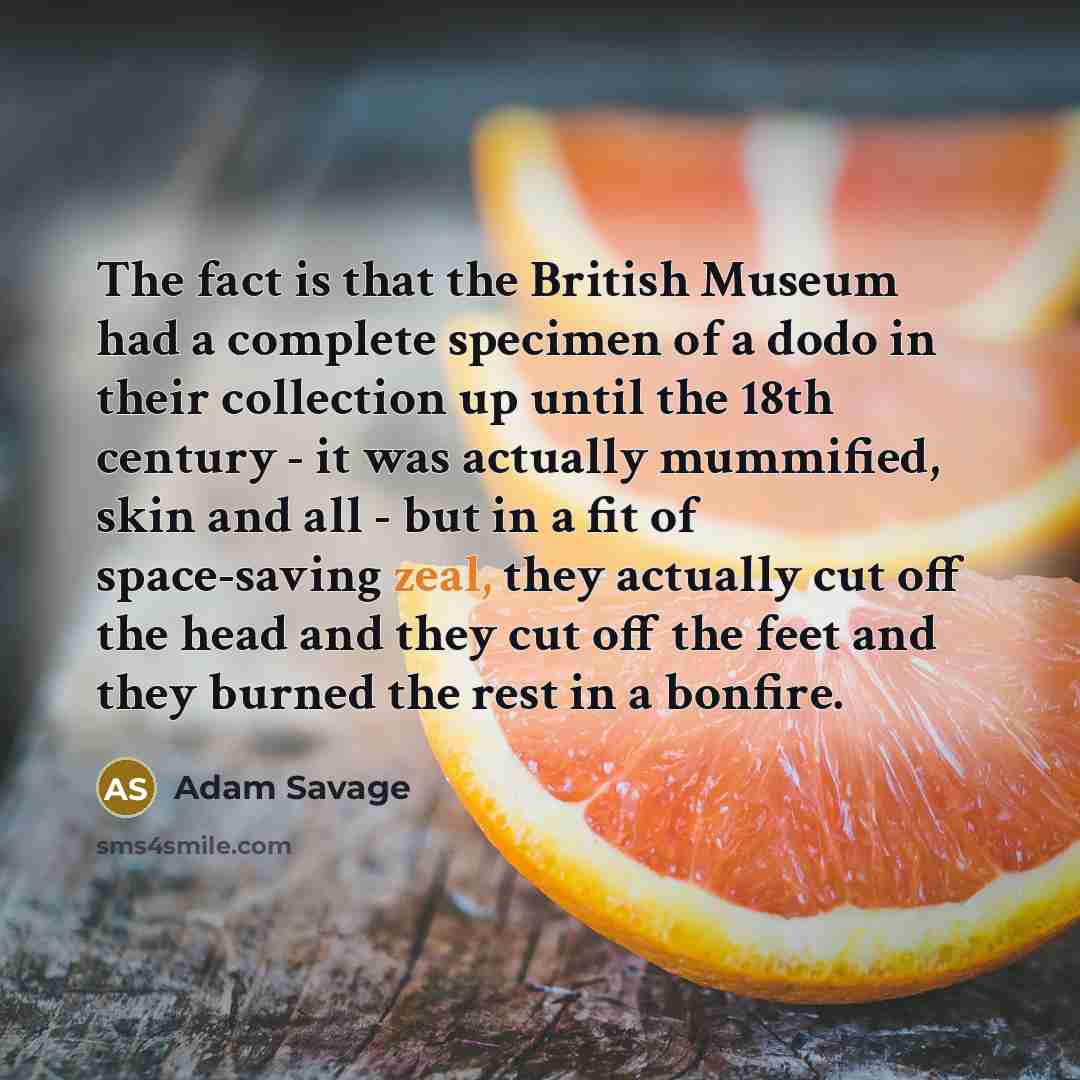 “The fact is that the British Museum had a complete…” quote by Adam Savage