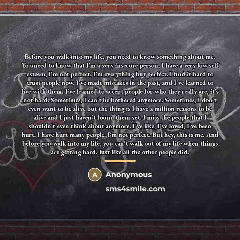 “Before you walk into my life, you need to know…” quote by Anonymous