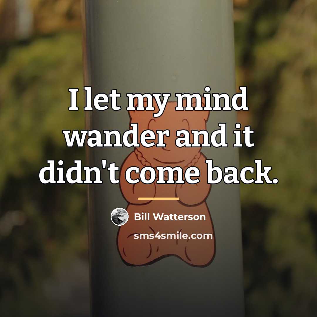 “I let my mind wander and it didn't come back.…” quote by Bill Watterson