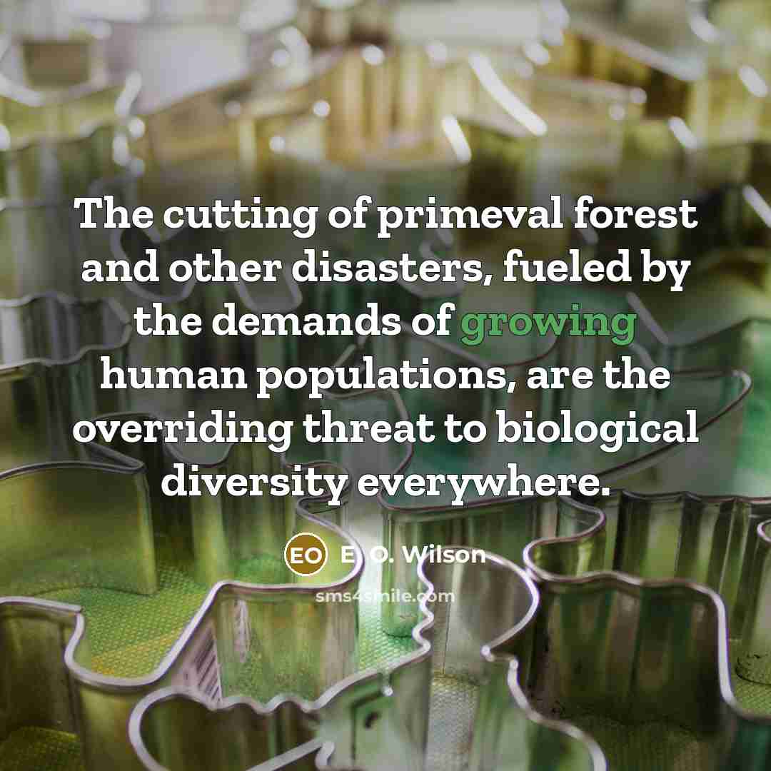 “The cutting of primeval forest and other disasters, fueled by…” quote by E. O. Wilson