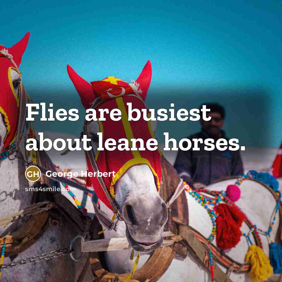 “Flies are busiest about leane horses.” quote by George Herbert