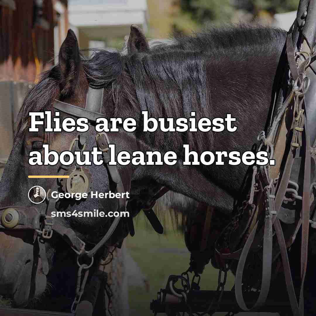 “Flies are busiest about leane horses.…” quote by George Herbert