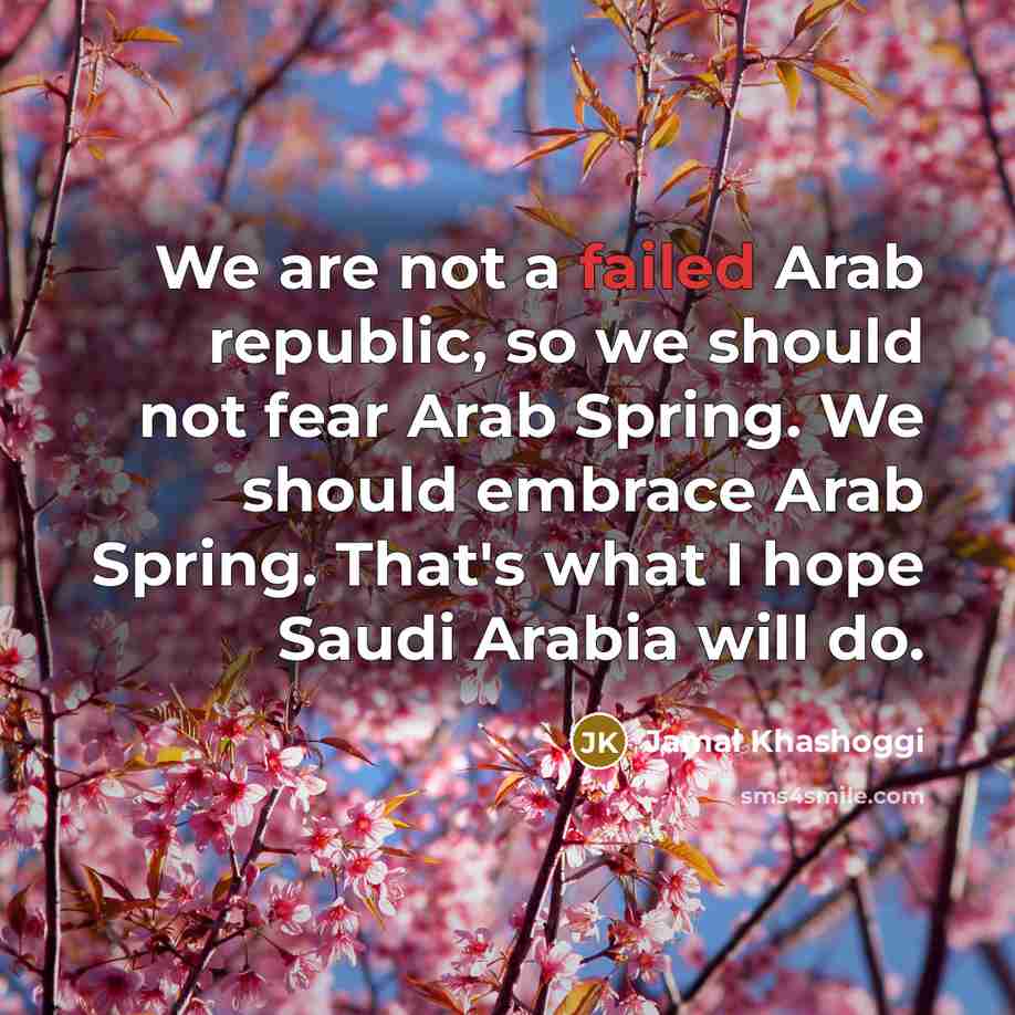 “We are not a failed Arab republic, so we should…” quote by Jamal Khashoggi