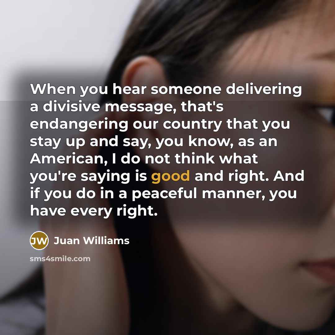 “When you hear someone delivering a divisive message, that's endangering…” quote by Juan Williams