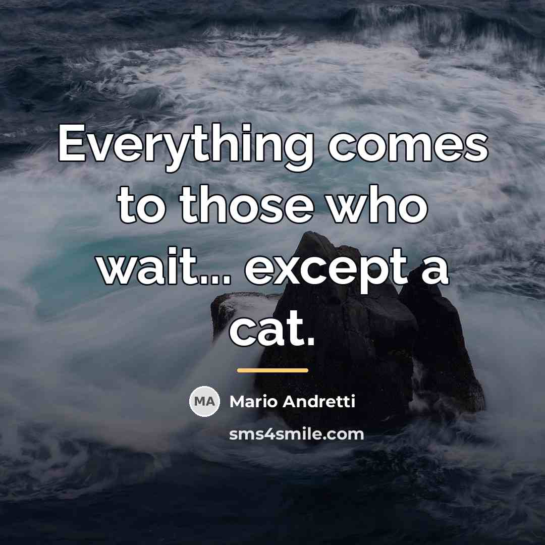 “Everything comes to those who wait... except a cat.…” quote by Mario Andretti
