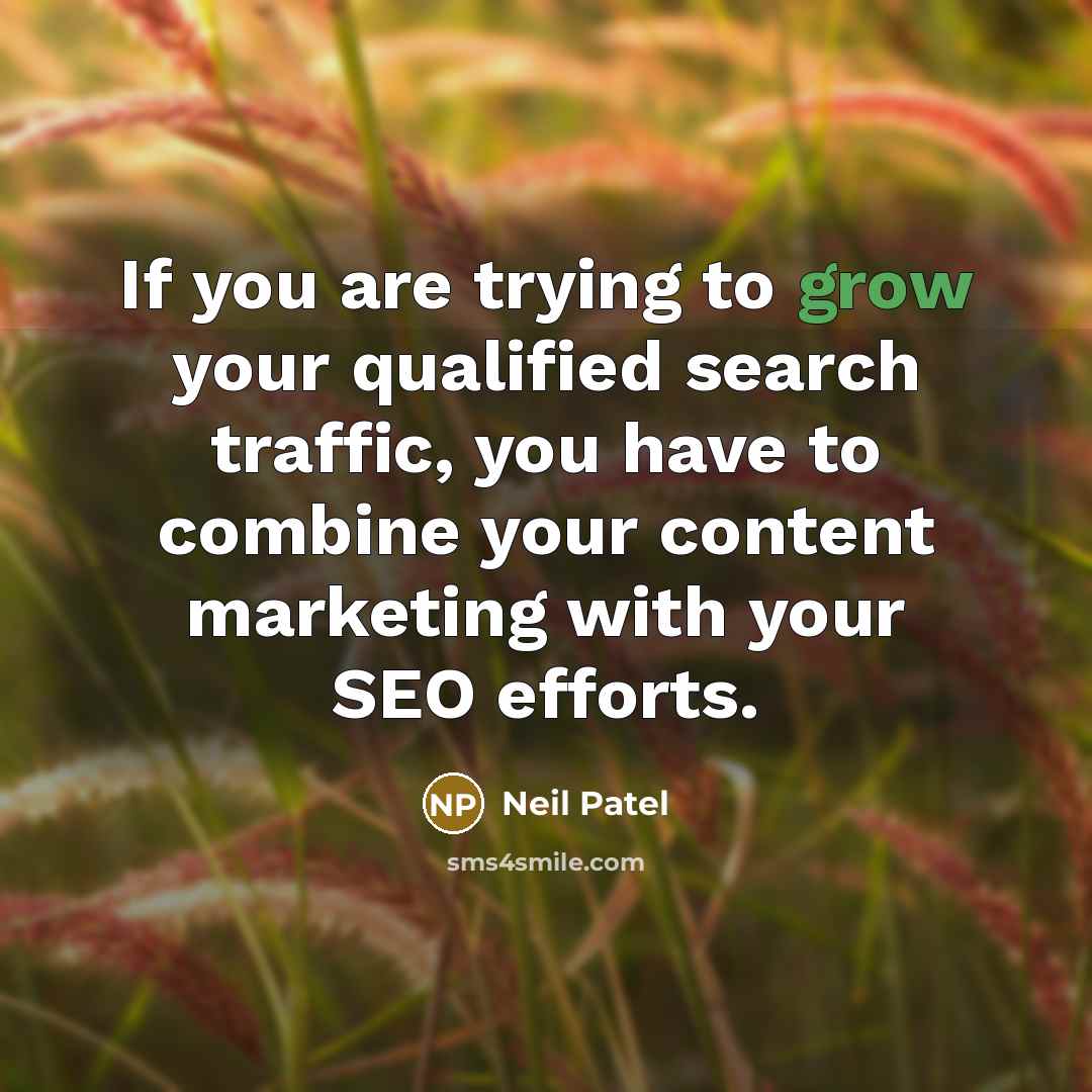 “If you are trying to grow your qualified search traffic,…” quote by Neil Patel