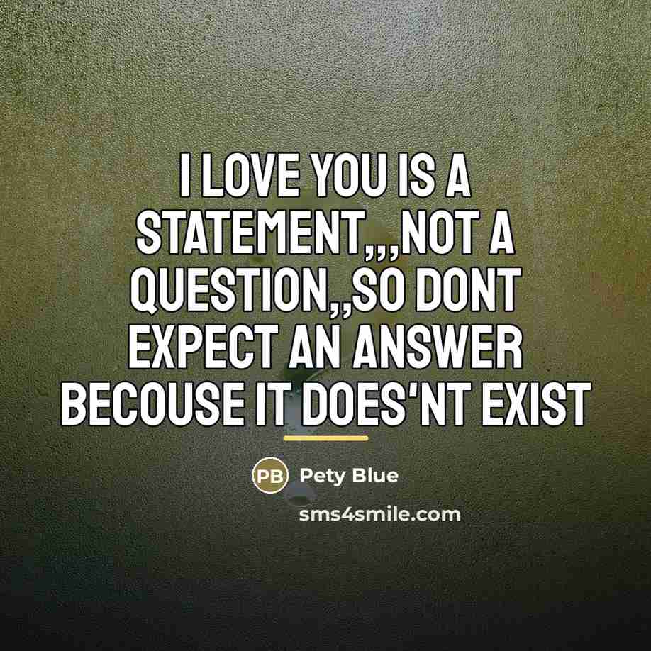 “I love you is a statement,,,not a question,,so dont expect…” quote by Pety Blue