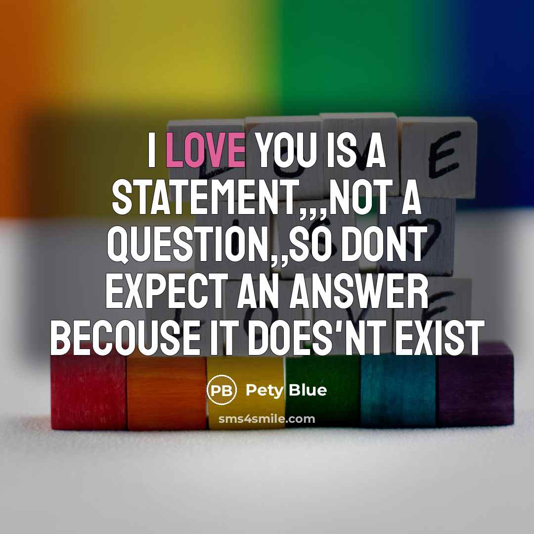 “I love you is a statement,,,not a question,,so dont expect an answer becouse it does'nt exist” quote by Pety Blue