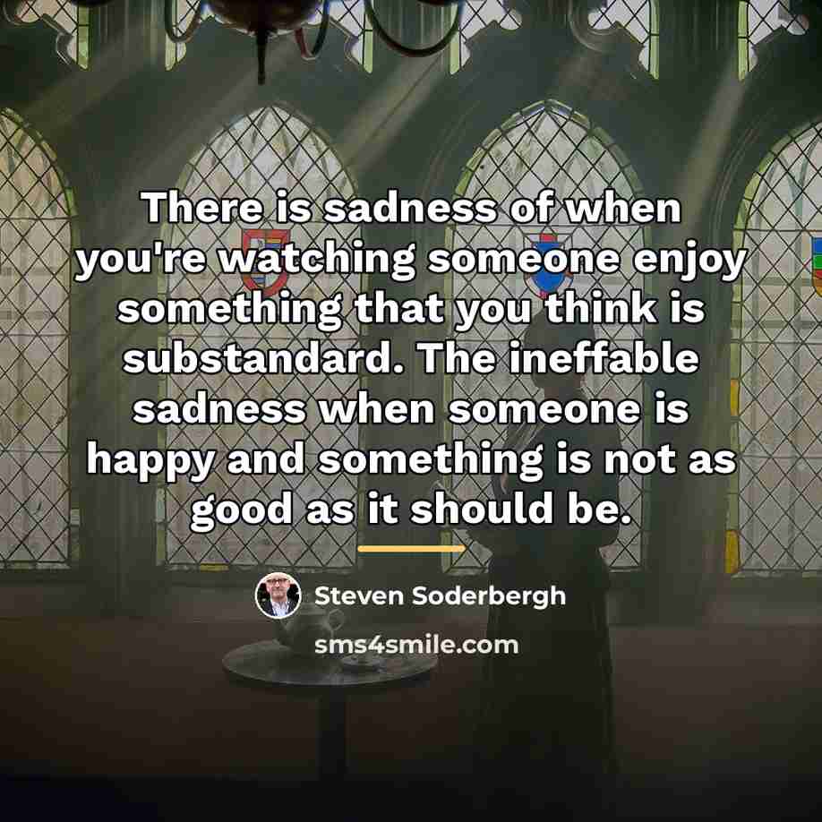 “There is sadness of when you're watching someone enjoy something…” quote by Steven Soderbergh
