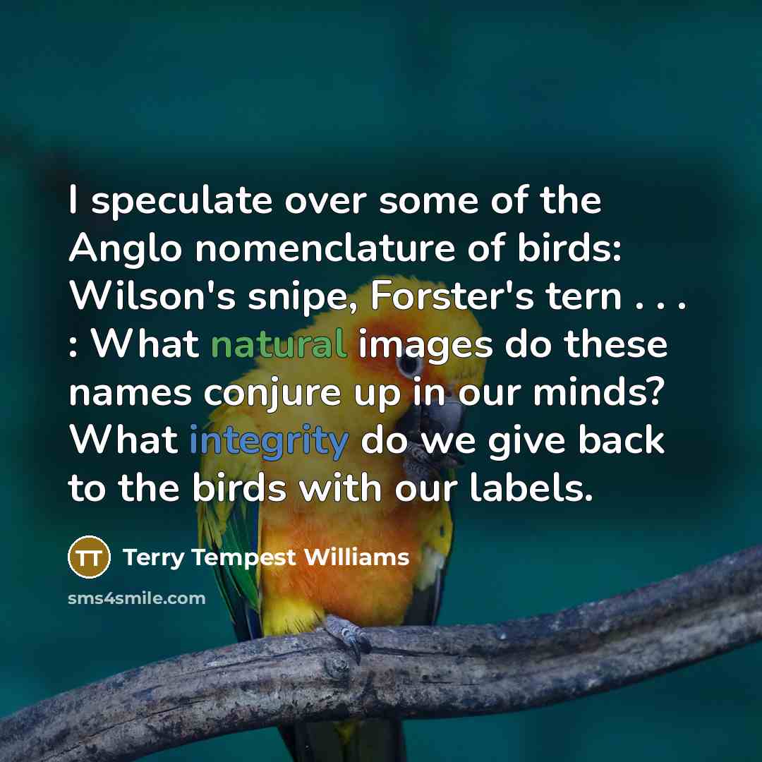 “I speculate over some of the Anglo nomenclature of birds:…” quote by Terry Tempest Williams