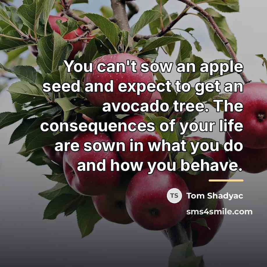 “You can't sow an apple seed and expect to get…” quote by Tom Shadyac