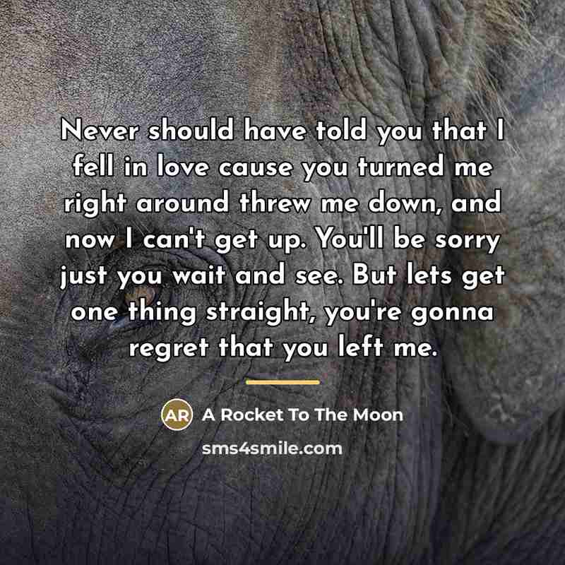 “Never should have told you that I fell in love…” quote by A Rocket To The Moon