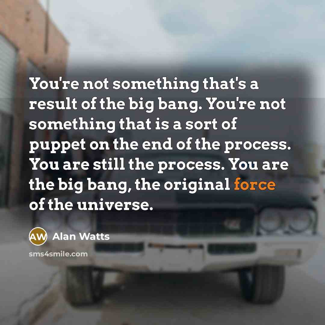 “You're not something that's a result of the big bang.…” quote by Alan Watts