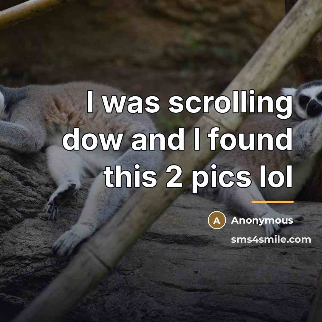 “I was scrolling dow and I found this 2 pics…” quote by Anonymous