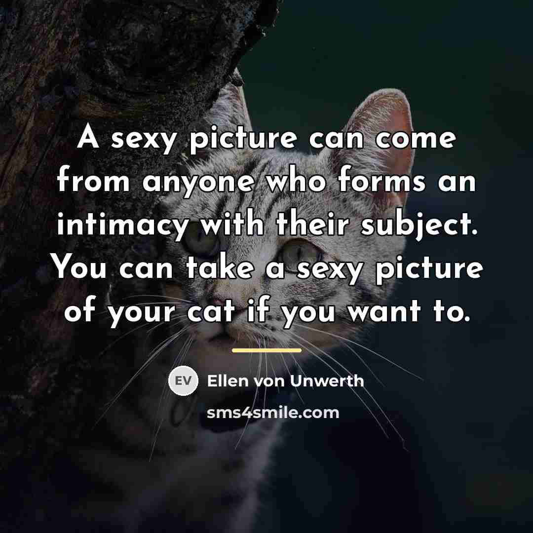 “A sexy picture can come from anyone who forms an…” quote by Ellen von Unwerth