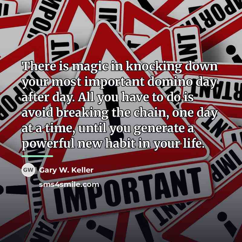 “There is magic in knocking down your most important domino…” quote by Gary W. Keller