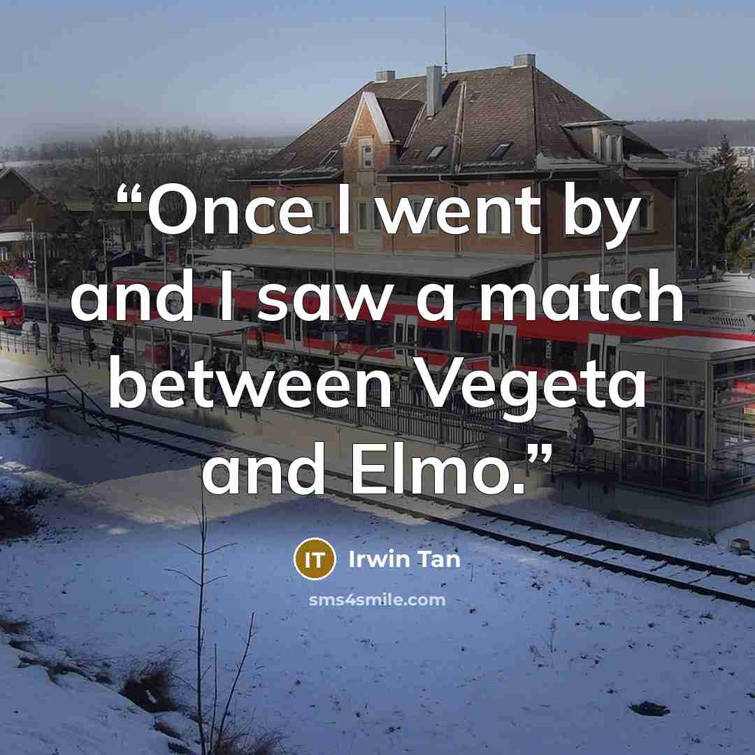 “Once I went by and I saw a match between Vegeta and Elmo.” quote by Irwin Tan