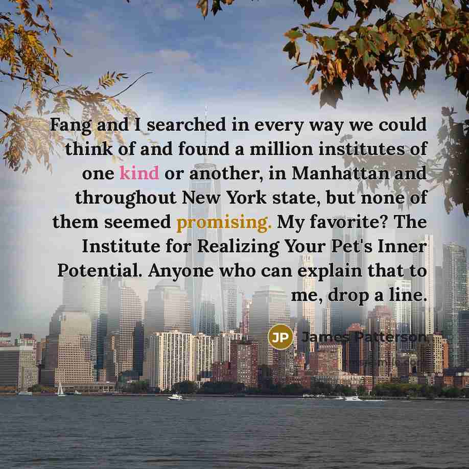 “Fang and I searched in every way we could think…” quote by James Patterson