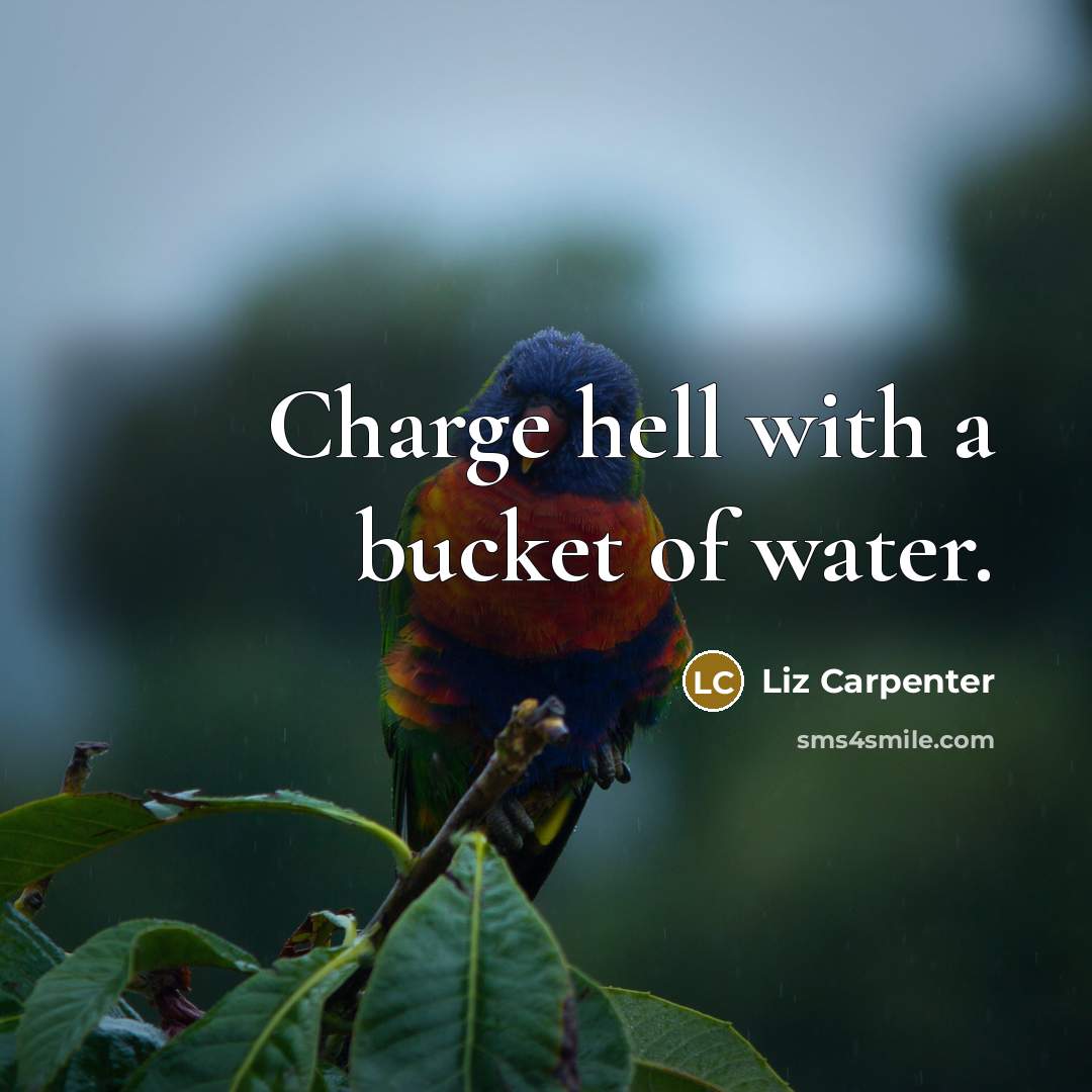 “Charge hell with a bucket of water.…” quote by Liz Carpenter