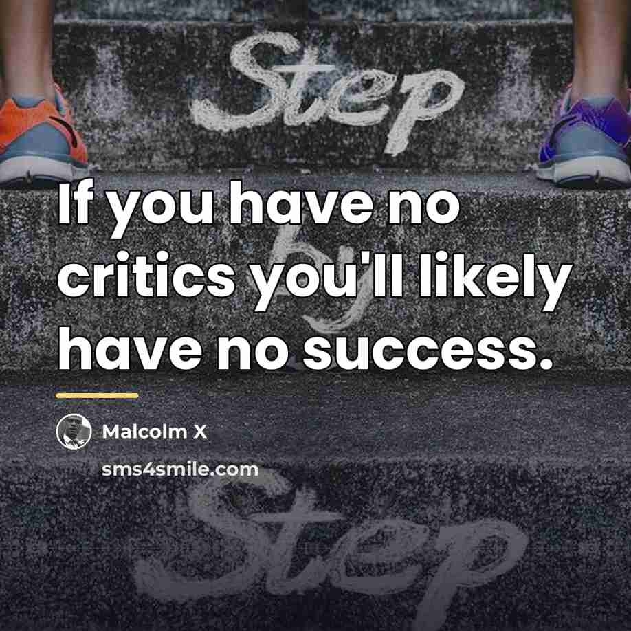 “If you have no critics you'll likely have no success.…” quote by Malcolm X