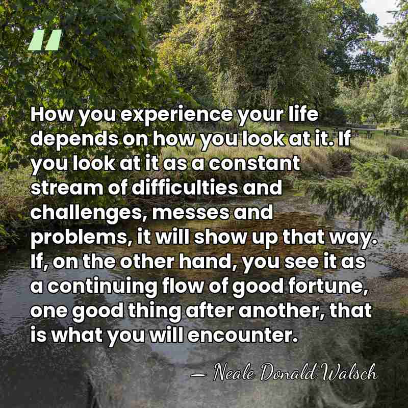 How you experience your life depends on how you look at it.&hellip; - Neale Donald Walsch