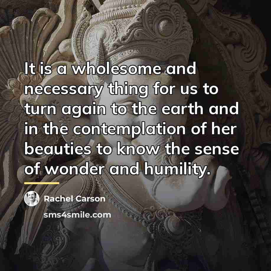 “It is a wholesome and necessary thing for us to…” quote by Rachel Carson