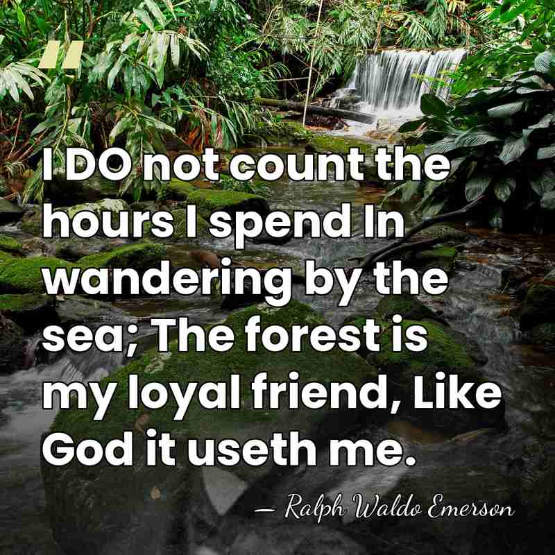 I DO not count the hours I spend In wandering by the&hellip; - Ralph Waldo Emerson