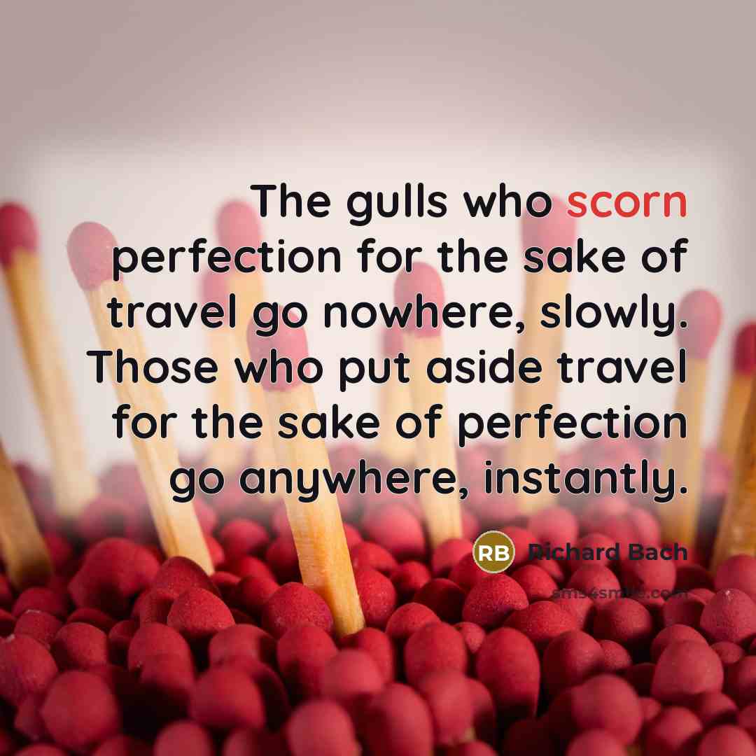 “The gulls who scorn perfection for the sake of travel…” quote by Richard Bach