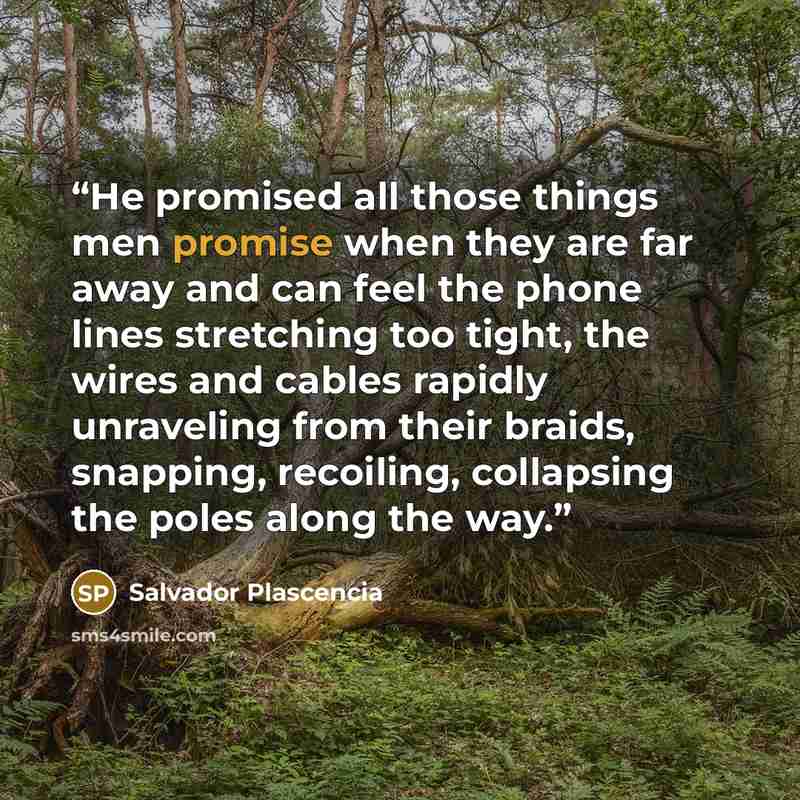 “He promised all those things men promise when they are far away and can feel the phone lines stretching too tight, the wires and cables rapidly unraveling from their braids, snapping, recoiling, collapsing the poles along the way.” quote by Salvador Plascencia