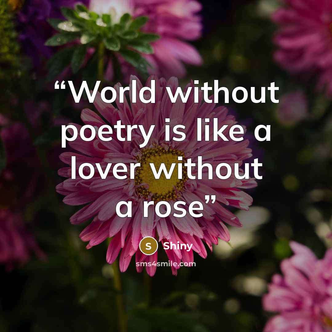 “World without poetry is like a lover without a rose” quote by Shiny