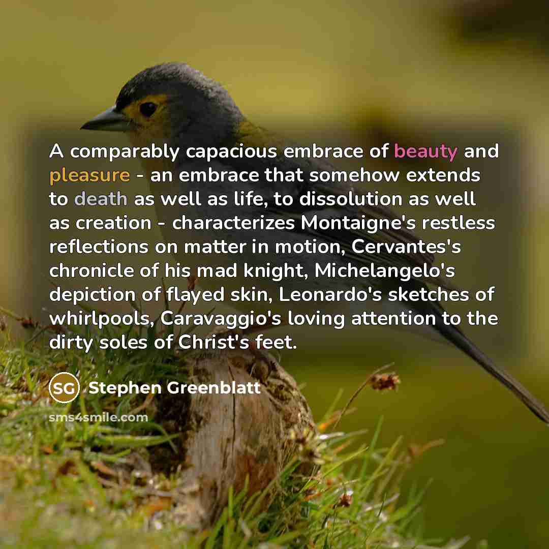 “A comparably capacious embrace of beauty and pleasure - an…” quote by Stephen Greenblatt