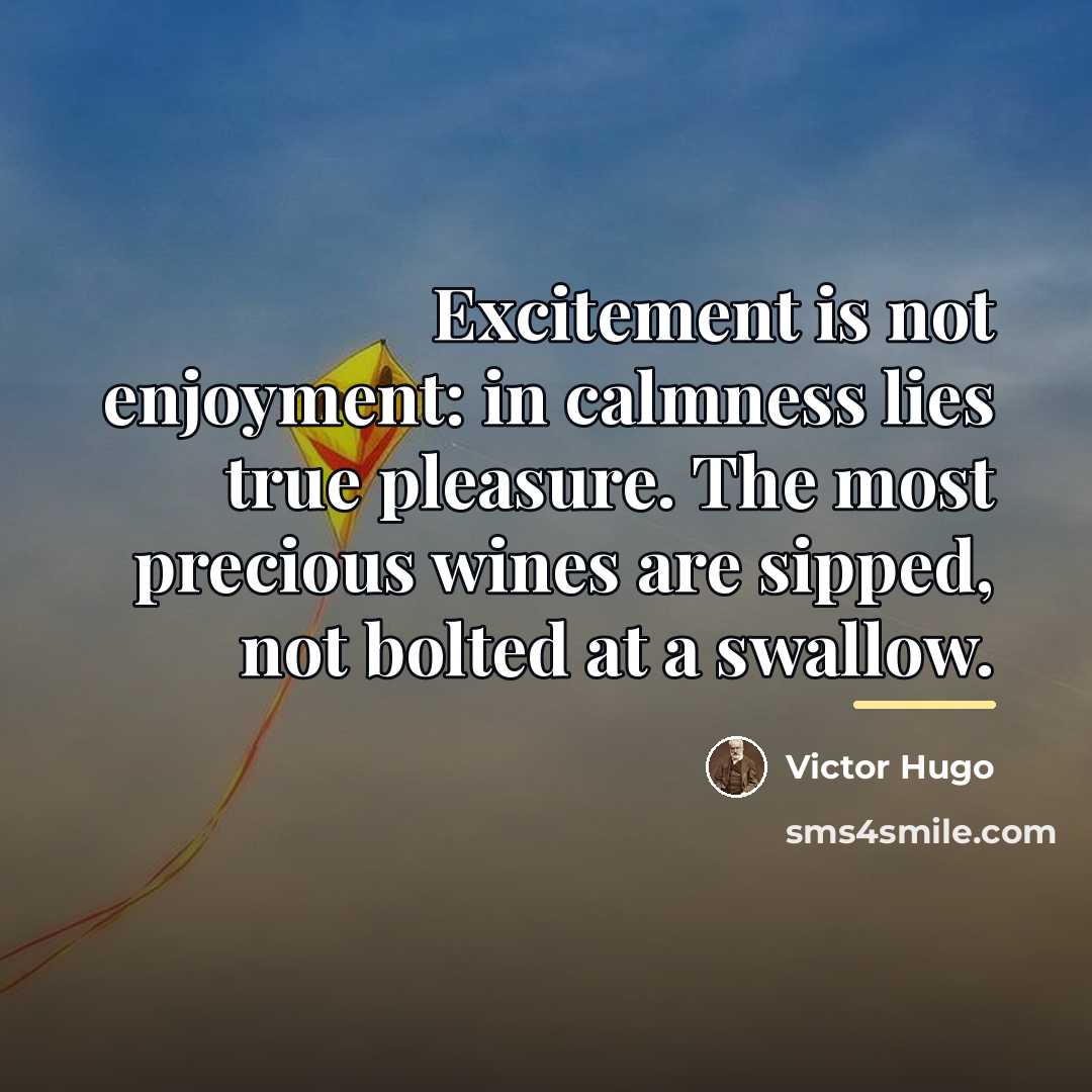 “Excitement is not enjoyment: in calmness lies true pleasure. The…” quote by Victor Hugo