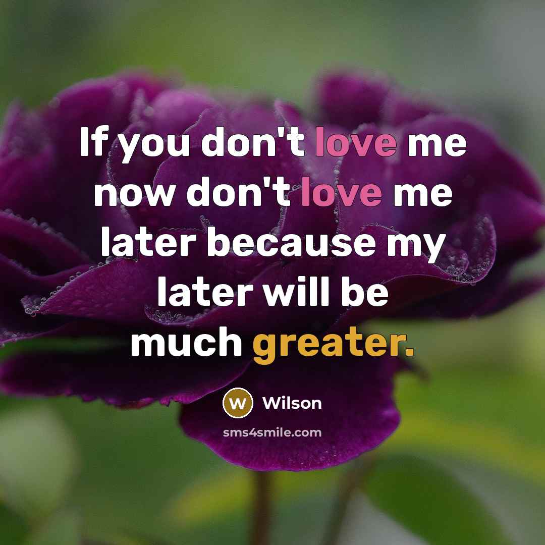 “If you don't love me now don't love me later…” quote by Wilson