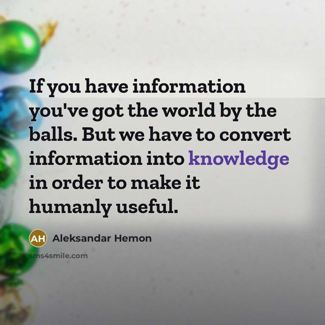 “If you have information you've got the world by the…” quote by Aleksandar Hemon