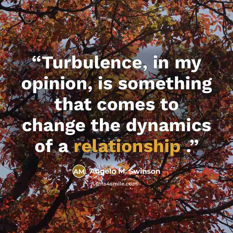 “Turbulence, in my opinion, is something that comes to change the dynamics of a relationship .” quote by Angelo M. Swinson