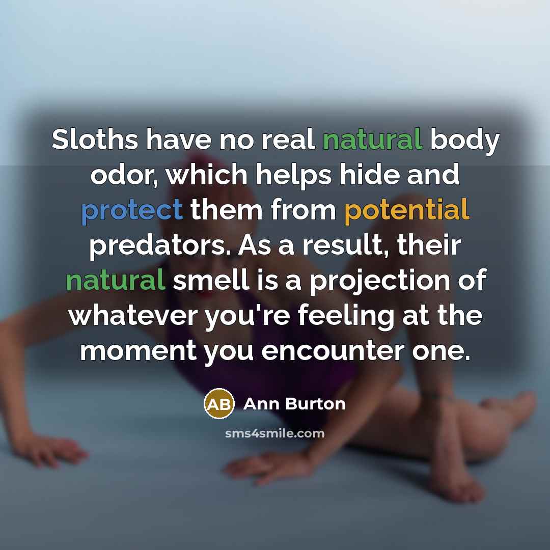 “Sloths have no real natural body odor, which helps hide…” quote by Ann Burton
