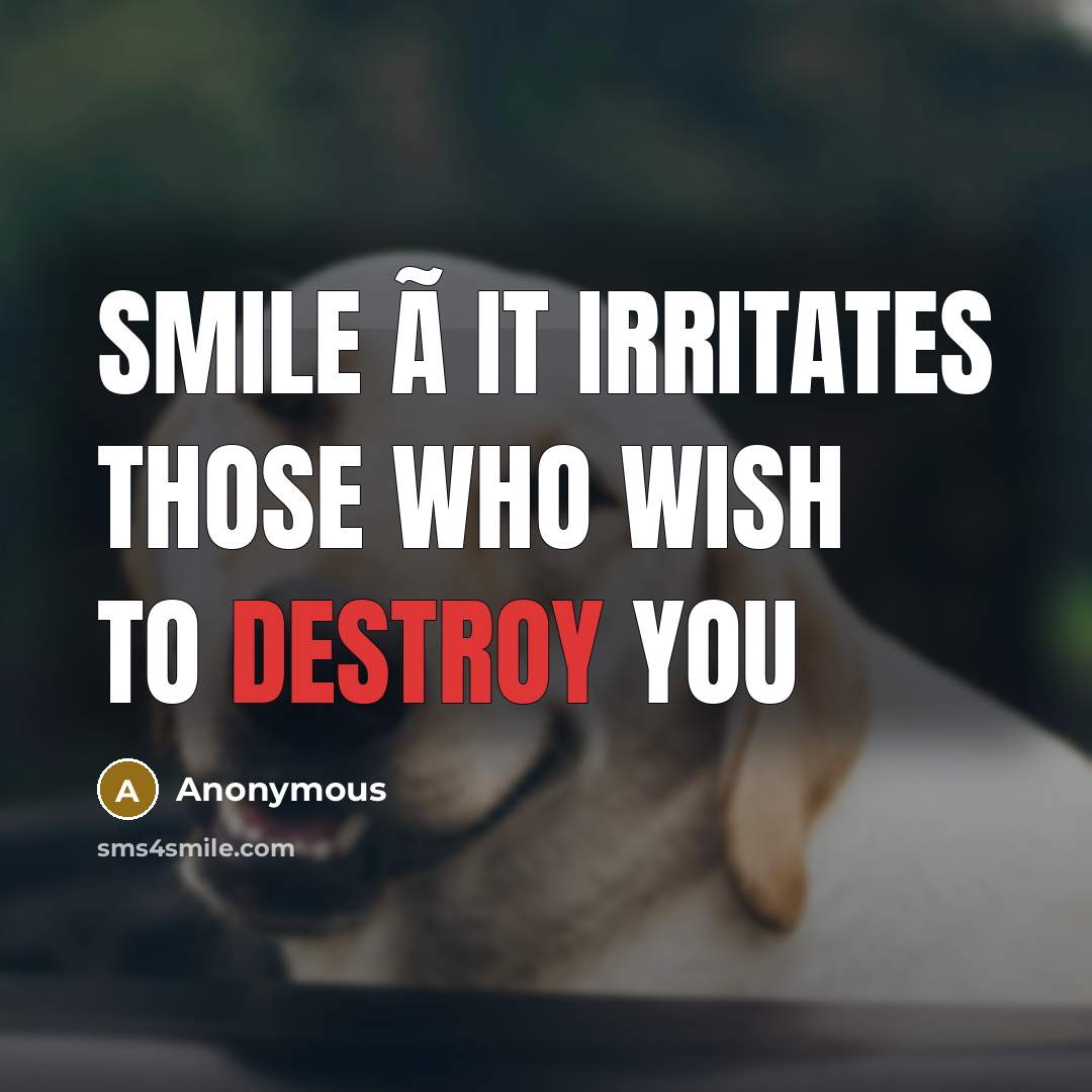 “SMILE ã It Irritates Those Who Wish To Destroy YOU…” quote by Anonymous