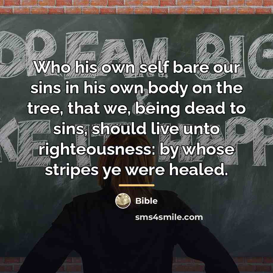 “Who his own self bare our sins in his own…” quote by Bible