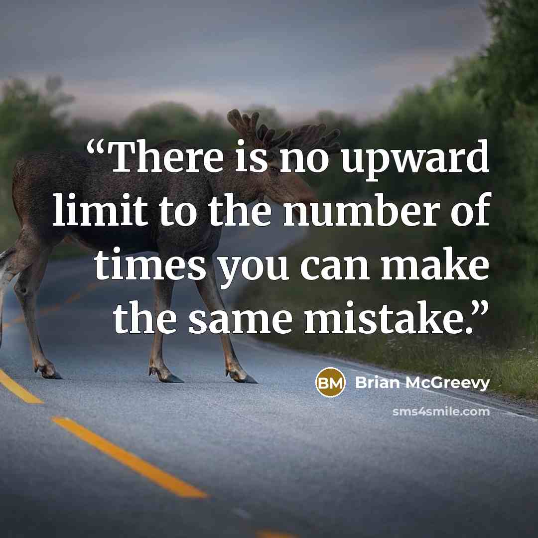 “There is no upward limit to the number of times you can make the same mistake.” quote by Brian McGreevy