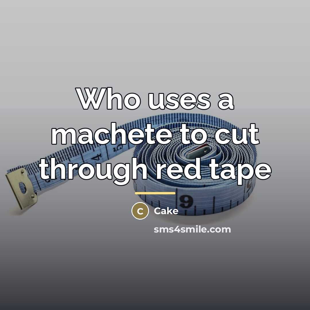 “Who uses a machete to cut through red tape…” quote by Cake