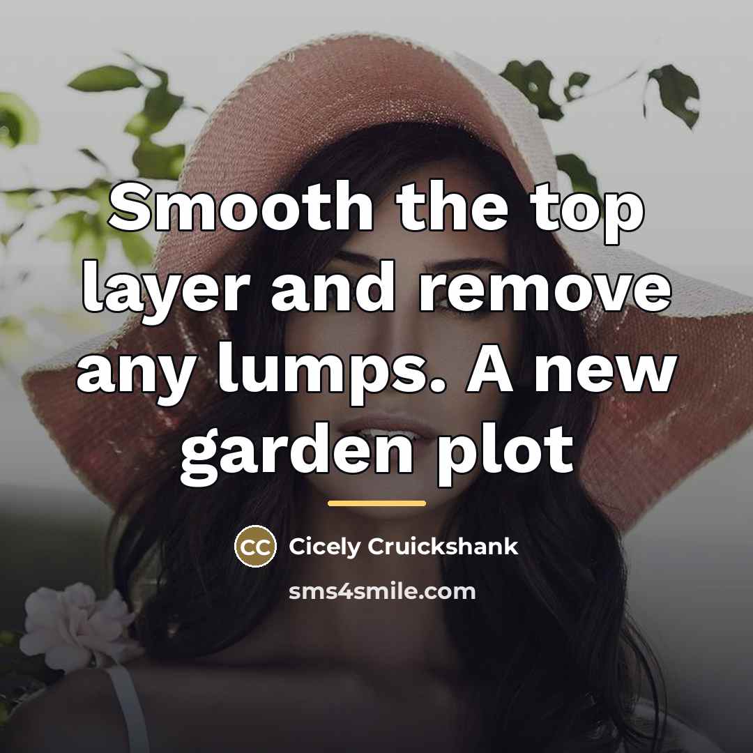 “Smooth the top layer and remove any lumps. A new…” quote by Cicely Cruickshank