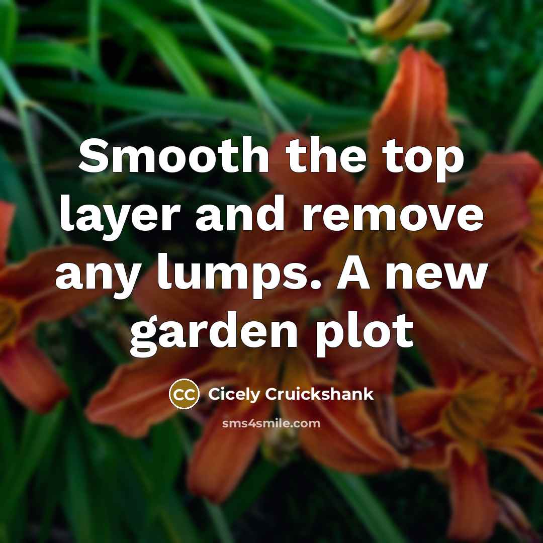 “Smooth the top layer and remove any lumps. A new garden plot” quote by Cicely Cruickshank