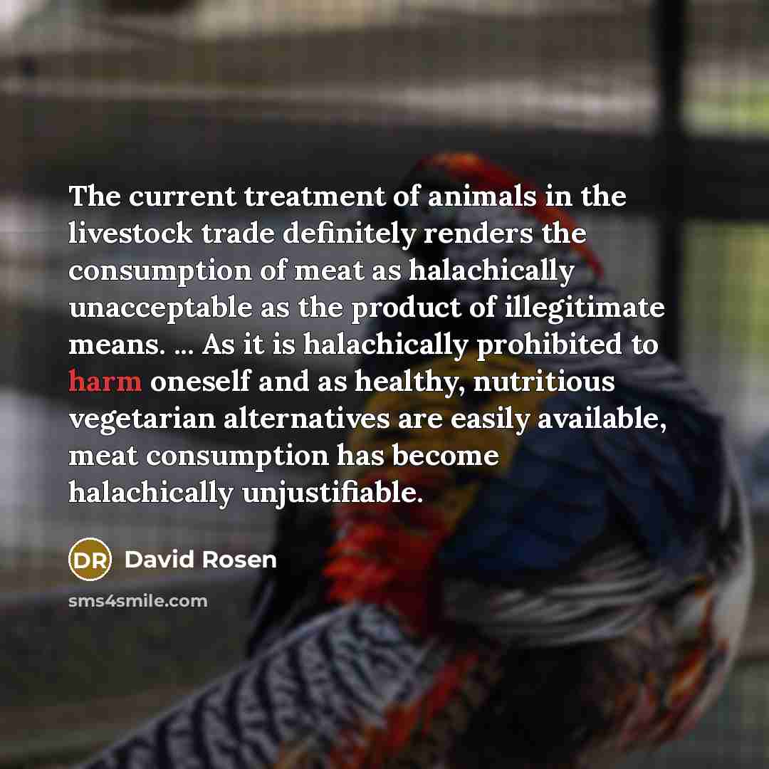 “The current treatment of animals in the livestock trade definitely…” quote by David Rosen