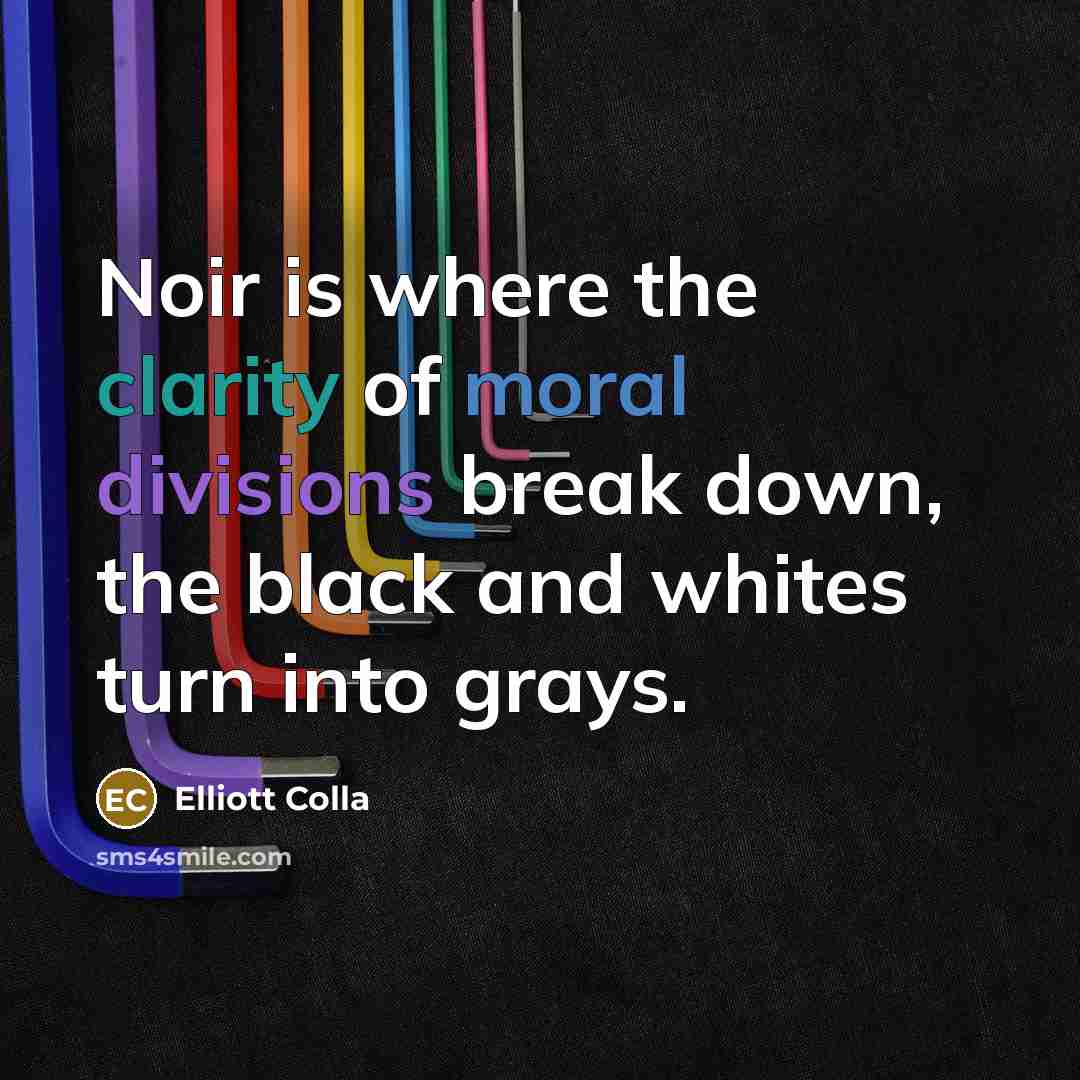 “Noir is where the clarity of moral divisions break down,…” quote by Elliott Colla