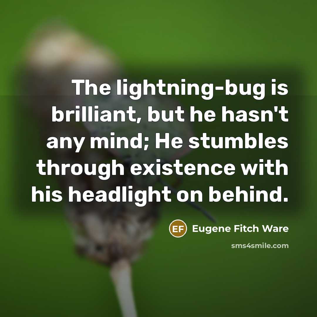“The lightning-bug is brilliant, but he hasn't any mind; He…” quote by Eugene Fitch Ware
