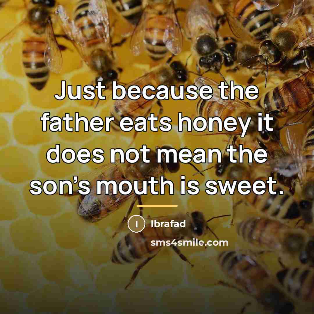 “Just because the father eats honey it does not mean…” quote by Ibrafad