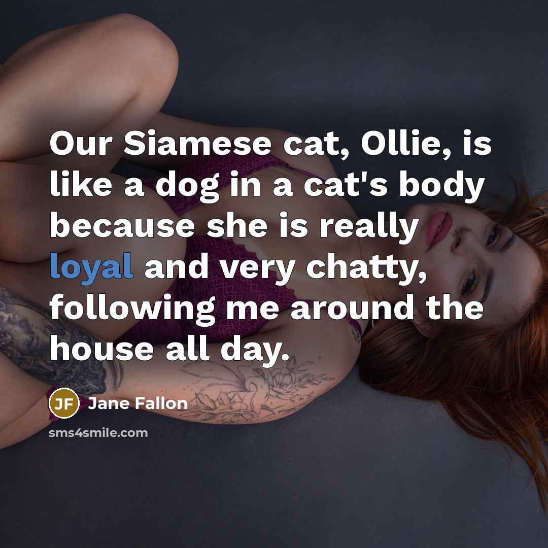 “Our Siamese cat, Ollie, is like a dog in a…” quote by Jane Fallon