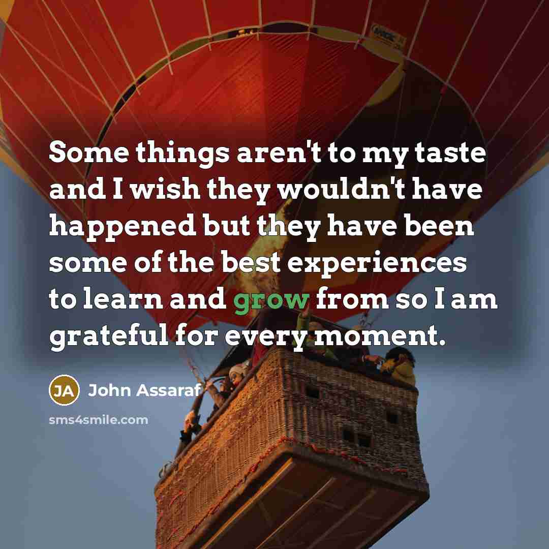 “Some things aren't to my taste and I wish they…” quote by John Assaraf