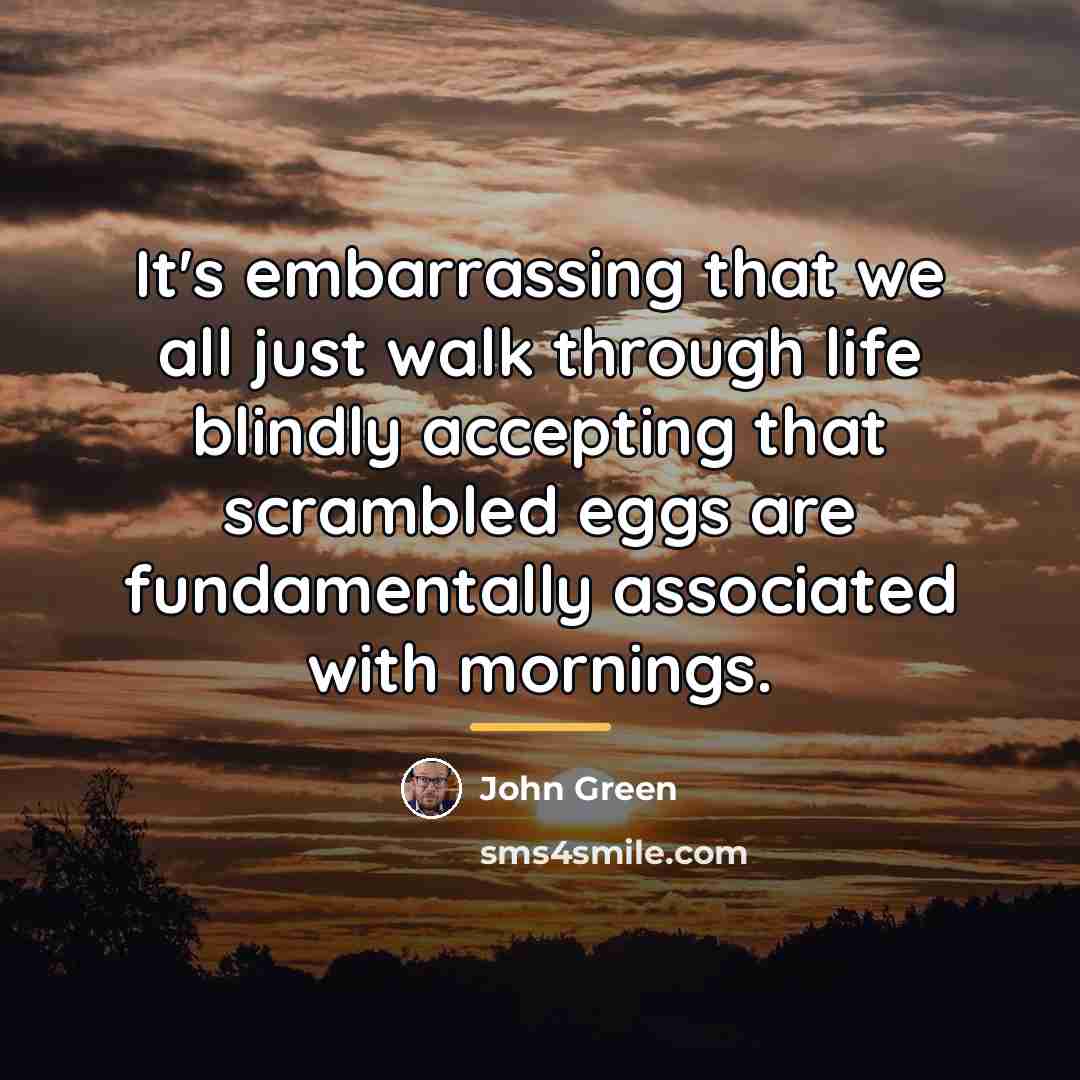 “It's embarrassing that we all just walk through life blindly…” quote by John Green