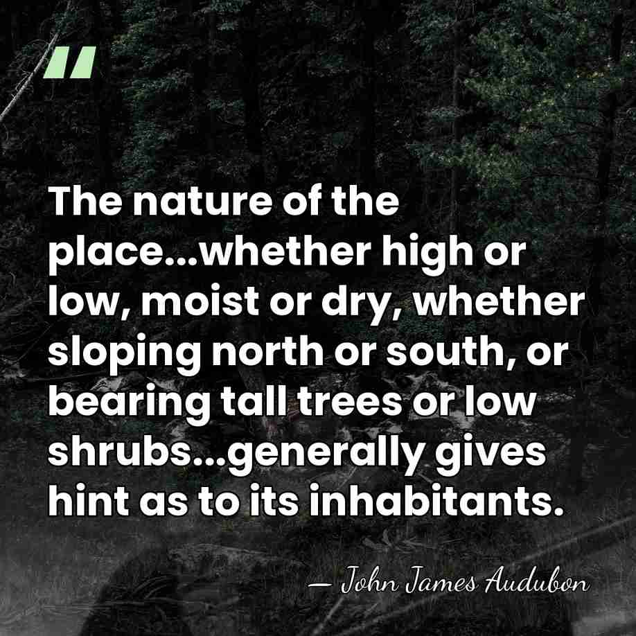 The nature of the place...whether high or low, moist or dry, whether&hellip; - John James Audubon